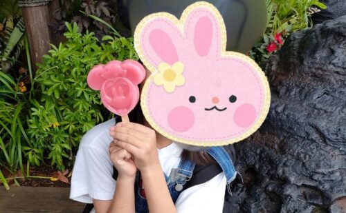 ミニーアイスバー(ピーチ&ラズベリー)