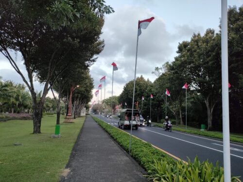 バリコレクション