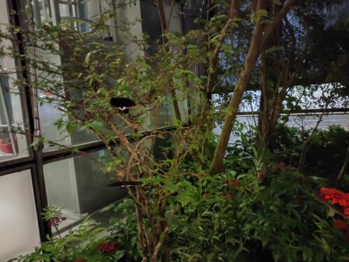 シンガポール・チャンギ空港