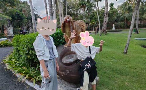 バリコレクション